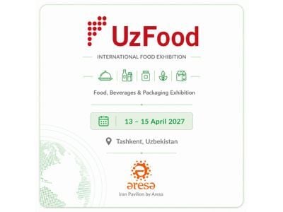 Untitled (400 x 300 px) (8)