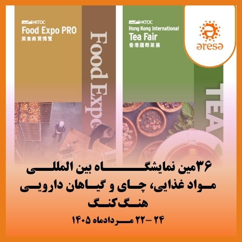 طرح صفحه اول وبسایت(1)-1