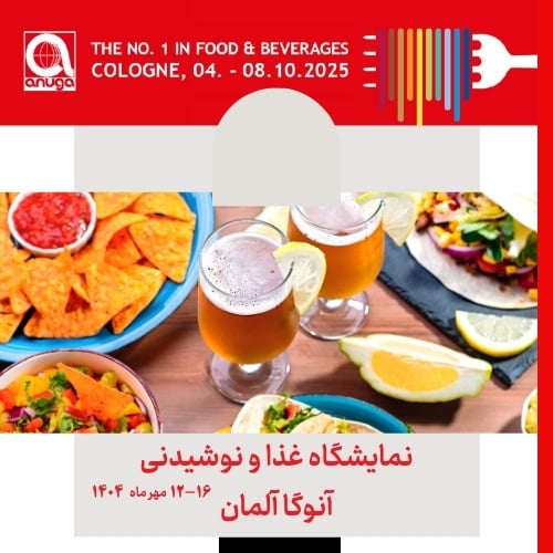طرح صفحه اول وبسایت-2 طرح صفحه اول وبسایت-2