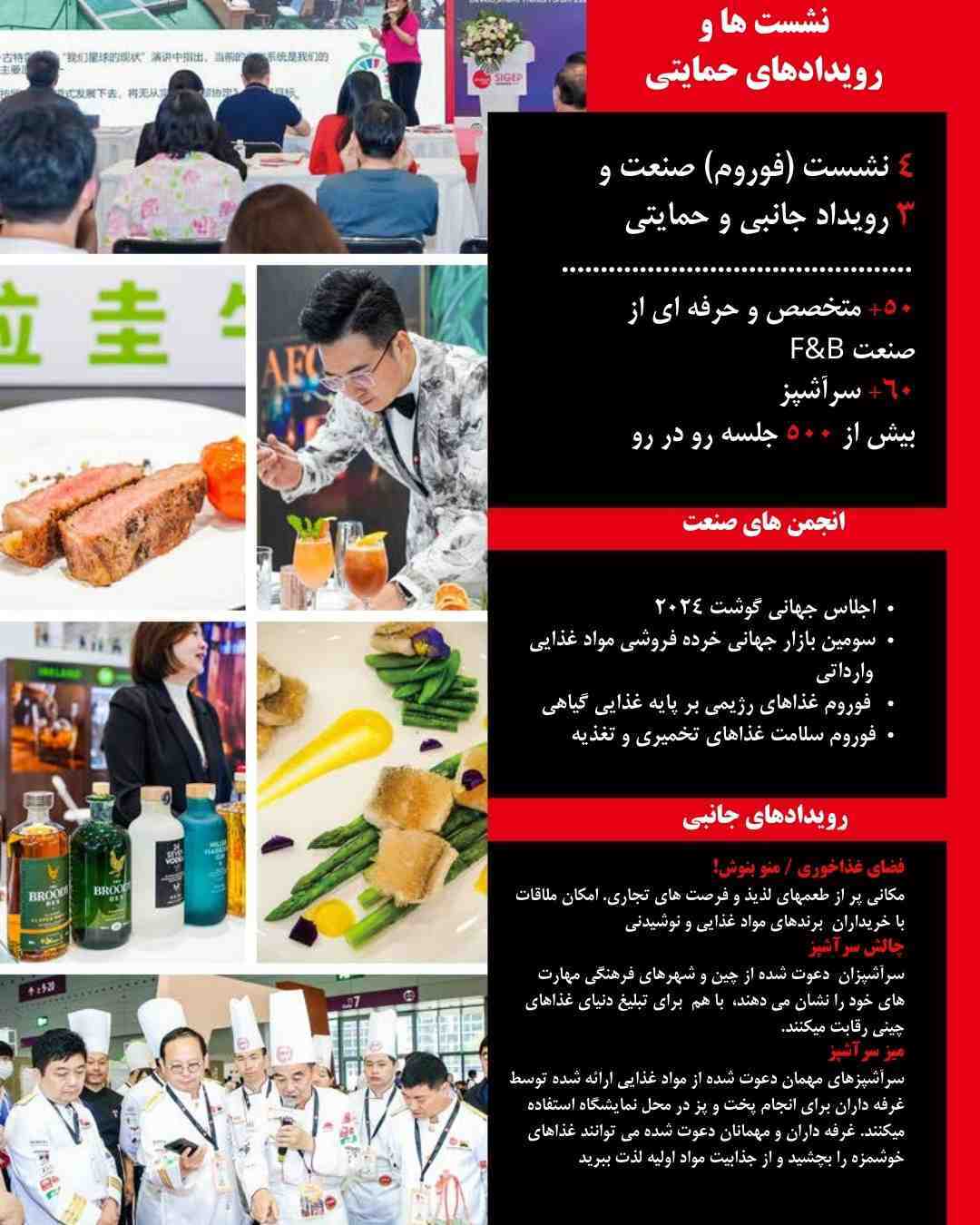 نمایشگاه آنوگای چین  - آرسا (4)